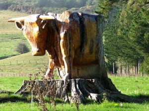 nz_souche_sculpture